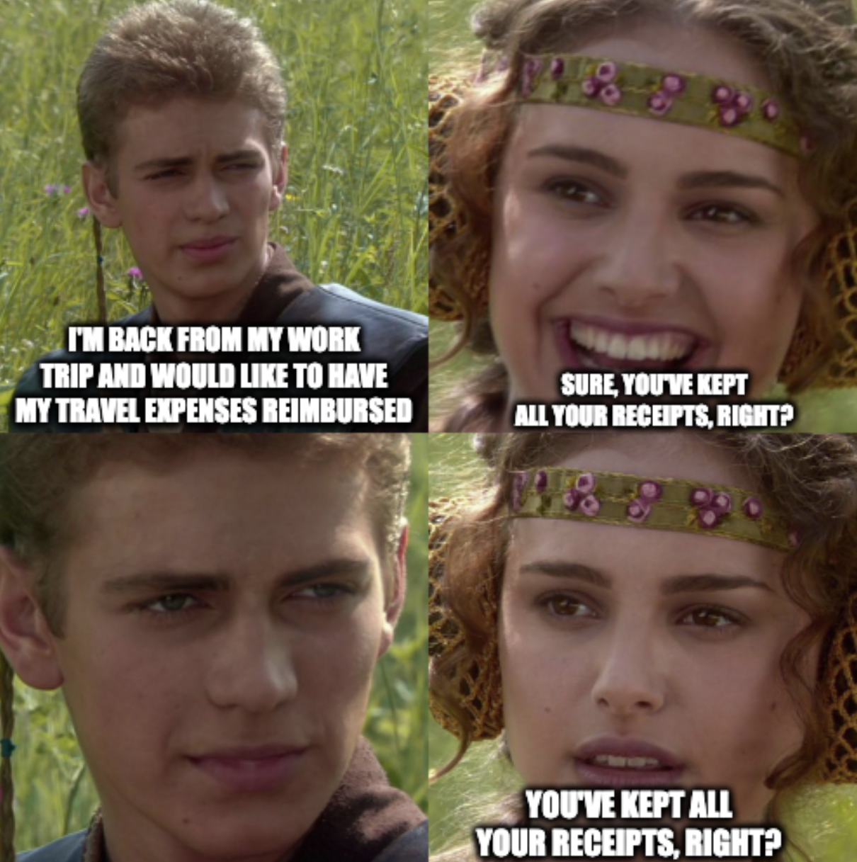 DeclaDalbeer   Accounting Meme 2 Anakin Padme 