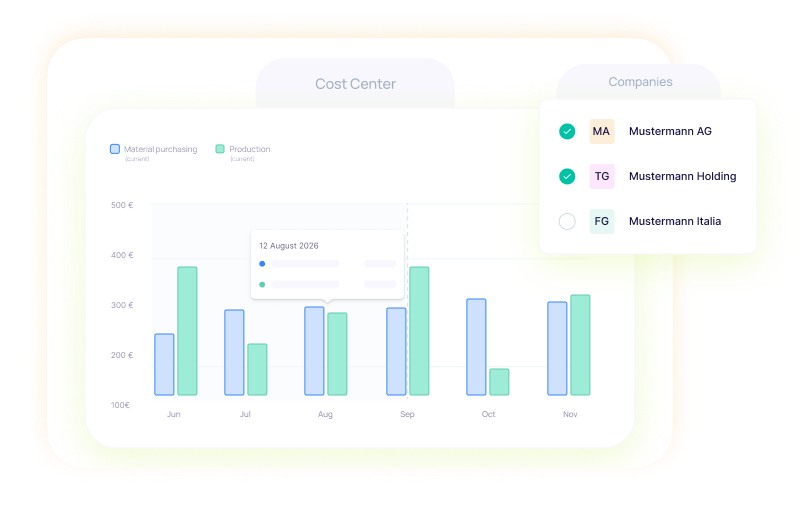 All Companies & Cost Centers in One Central View